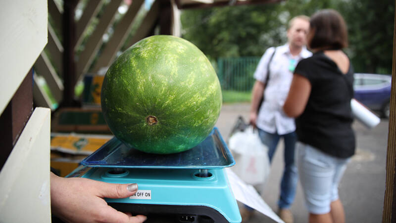 Диетолог дала советы по выбору арбуза